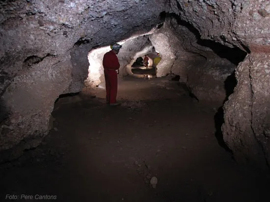 Photograph of SIMANYA, COVA (7 of 11)