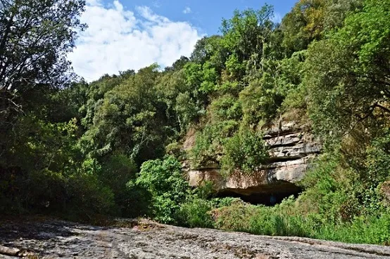 Fotografia de FONT DE LA GUILLOTERA, BALMA DE LA (1 de 3)