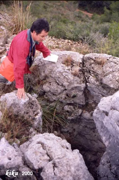 Fotografia de CARENA DEL MONTNÀS, AVENC DE LA (2 de 2)