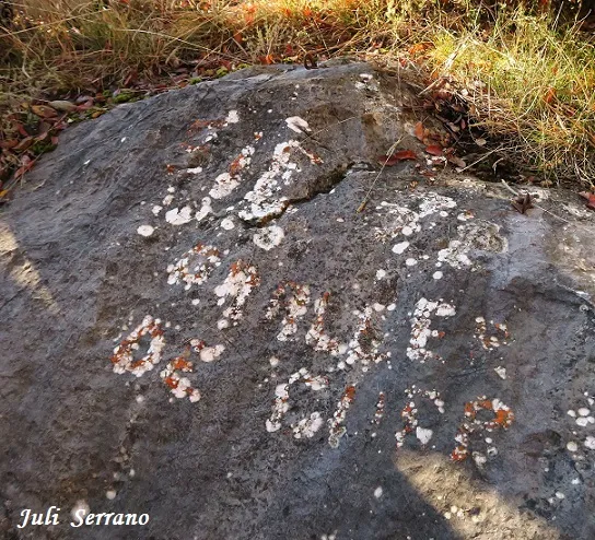 Photographie de GURP, GRALLER DE (8 sur 17)