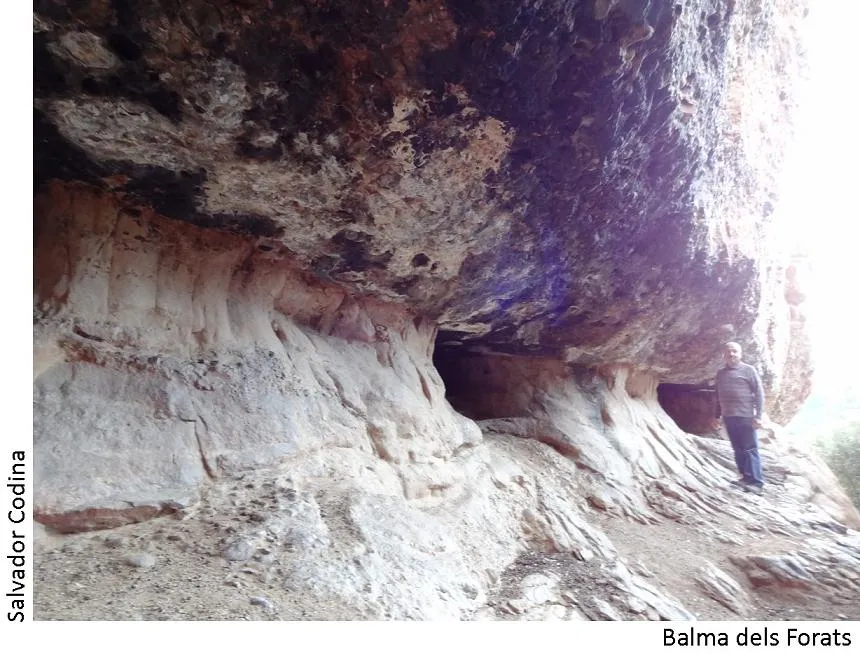 Photographie de FORATS, BALMA DELS (2 sur 3)