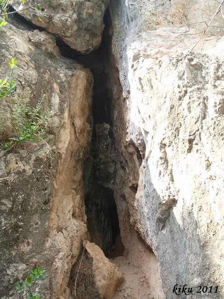 Fotografía de CAN PONÇGEM, COVA DE (3 de 3)