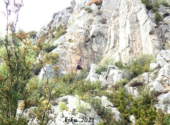 Photographie de OLOPTE, COVA E D' (3 sur 3)