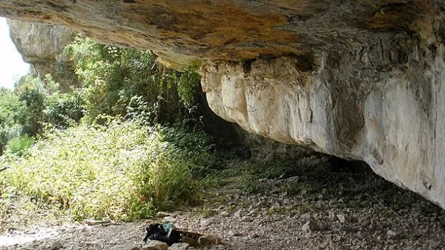 Photograph of HEDRA, COVA DE L' (2 of 2)