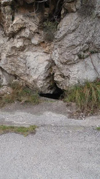Fotografia de RIU MERLER, QUERANT DE (1 de 4)
