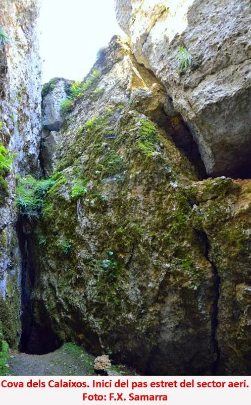 Fotografia de CALAIXOS DE L'ERELDO, COVA DELS (6 de 6)
