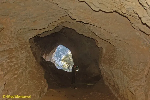 Fotografia de BISBE, COVA DEL (4 de 6)