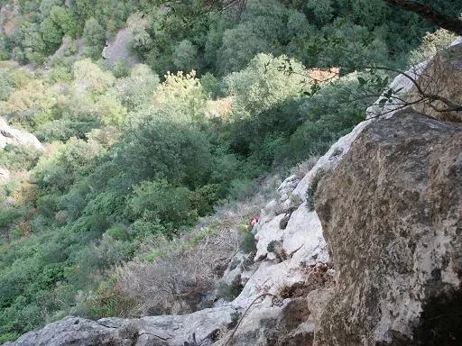 Fotografía de MU, COVES DEL (5 de 11)