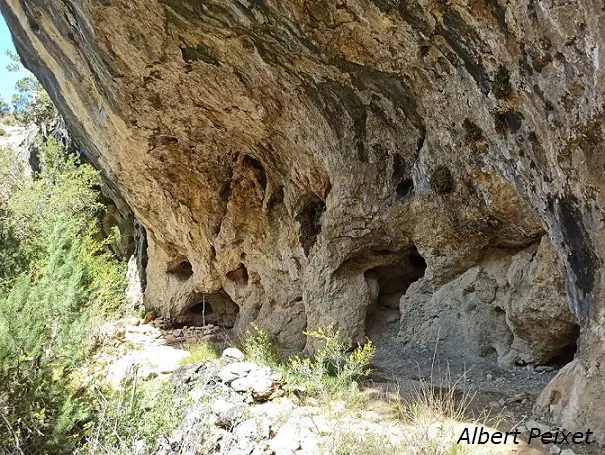 Photographie de ARGANY, COVA DE L' (5 sur 10)