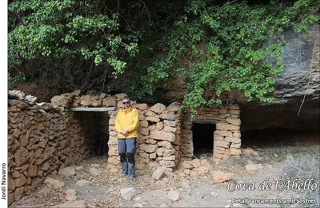 Photograph of ABELLÓ, COVA DE L' (1 of 4)