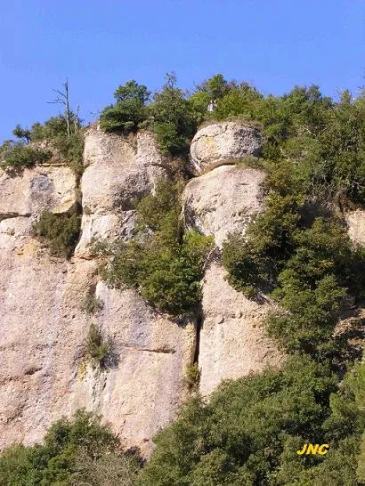 Fotografia de TALPS, COVA DELS (1 de 4)