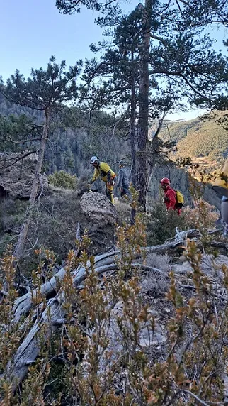 Fotografia de SANT TELM, FORATS DE (1 de 11)