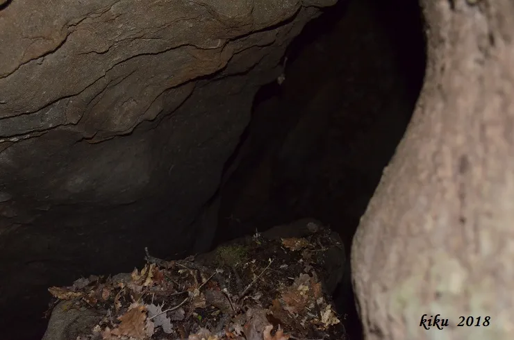 Photograph of GINA, FORAT DE LA (4 of 4)
