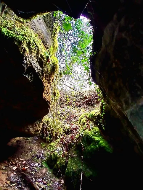 Photographie de ADELINA, BÒFIA DE L' (2 sur 6)