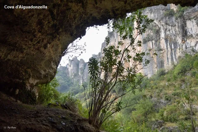 Fotografia de AIGUADONZELLA, COVES D' (3 de 5)
