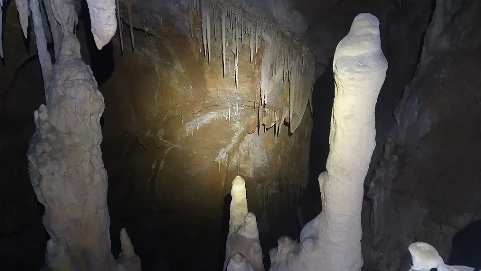 Fotografia de OBAGA DE LA MAÇANA, FORAT DE L' (11 de 14)