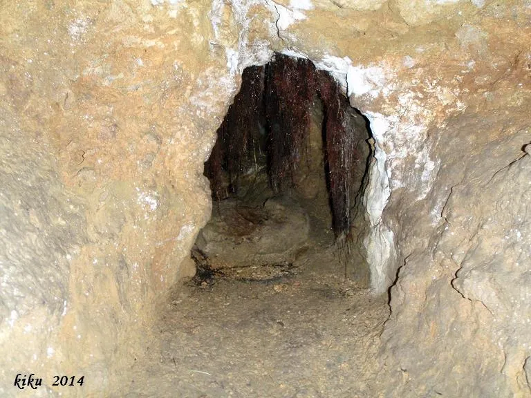 Photographie de GEGANT, COVA DEL (6 sur 9)