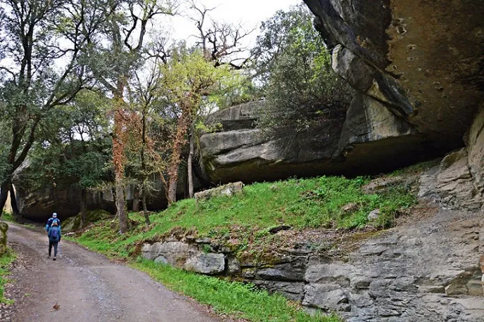 Fotografia de CAMÍ DE SANTA MAGDALENA, BALMA DEL (1 de 3)