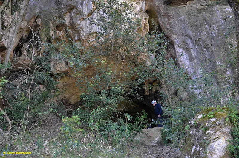 Photograph of DRAC DE VILARJOAN, COVA DEL (1 of 4)