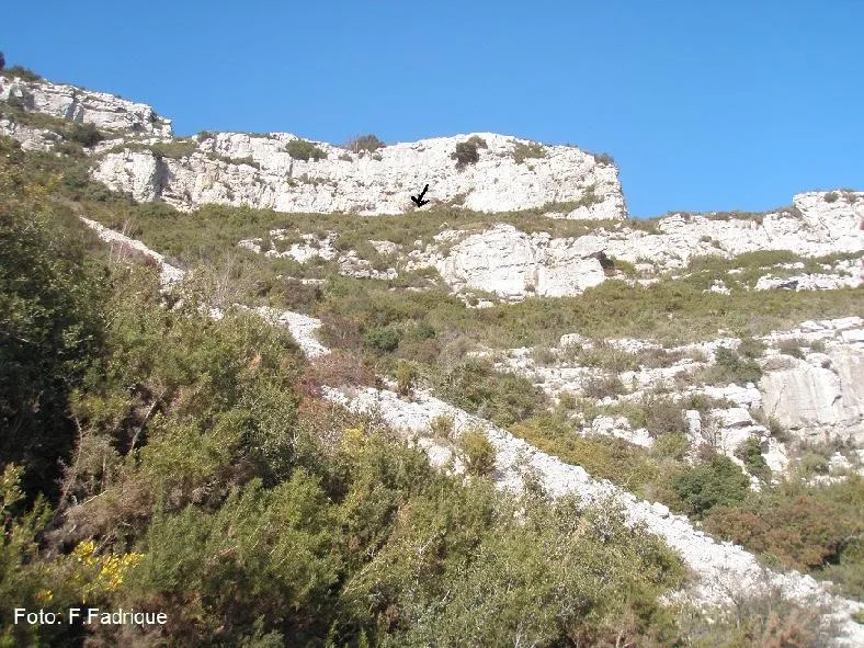 Fotografia de BONICA, COVA (2 de 18)