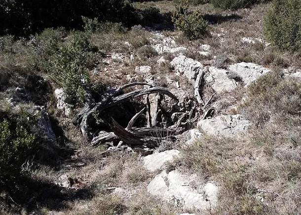Fotografia de PLANS, AVENC DELS (1 de 1)