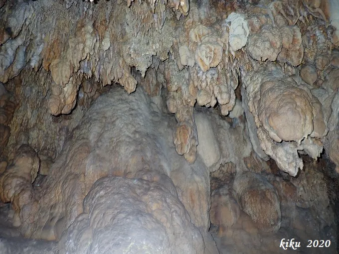 Fotografía de CALAVERA, COVA DE LA (9 de 13)
