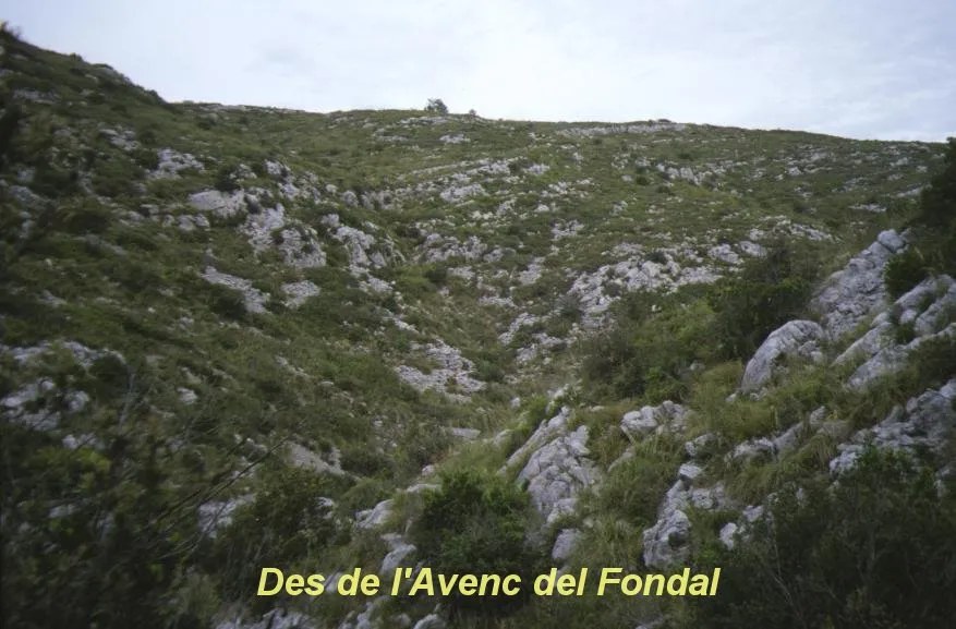 Fotografía de FONDAL, AVENC DEL (2 de 6)