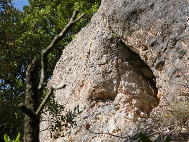 Photograph of PENJADA DEL MONTCAU, COVA (1 of 1)