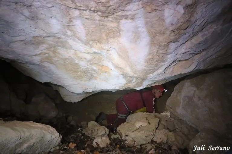 Fotografia de CAMÍ DEL TEIX, AVENC Nº2 DEL (4 de 4)