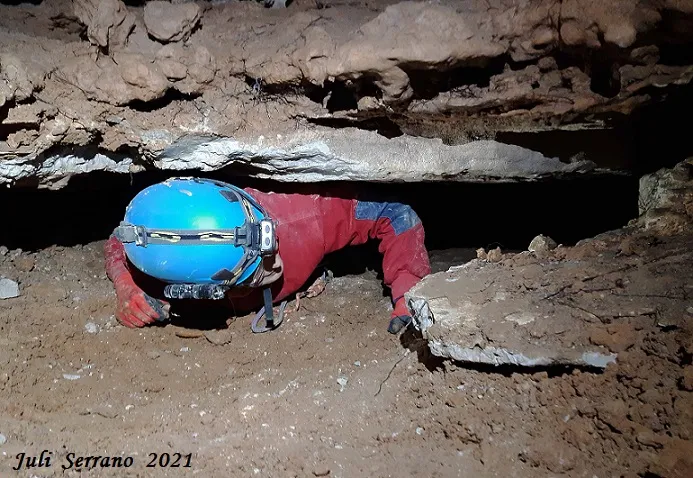 Fotografia de PEIXET, COVA D'EN (25 de 35)