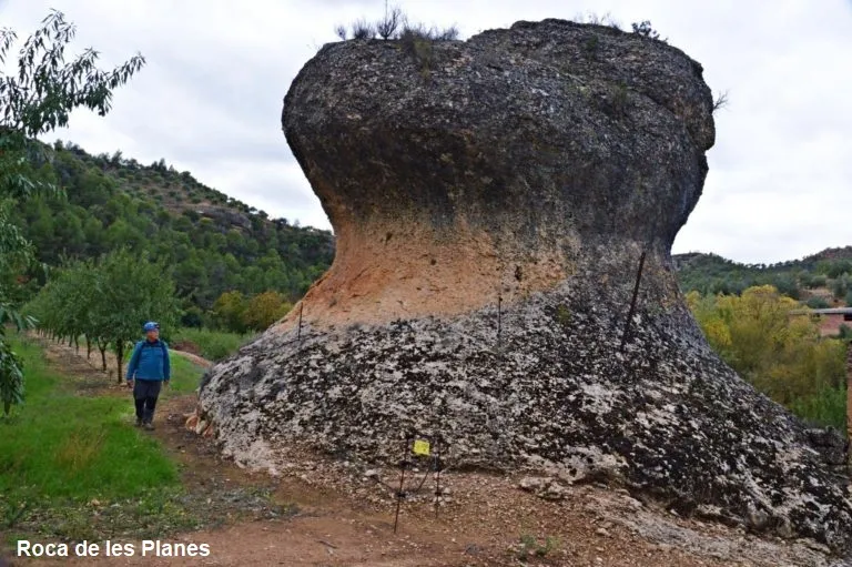Photographie de BOIXA, COVA D'EN (1 sur 4)
