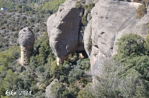 Photographie de CIGALOT DEL CORB, BALMA DEL (1 sur 6)