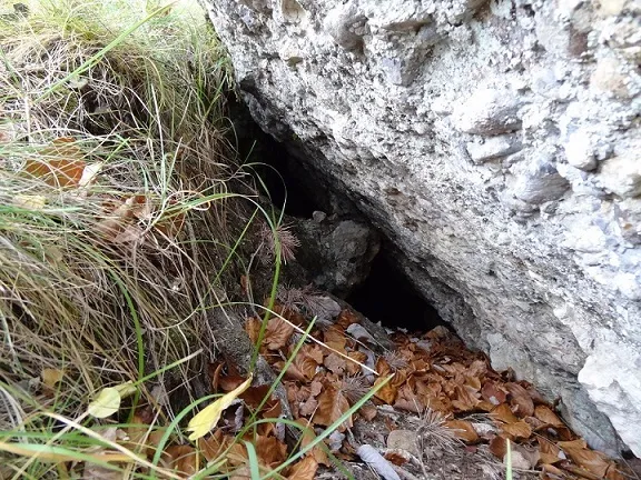 Photographie de DIMONI, COVA DEL (3 sur 3)