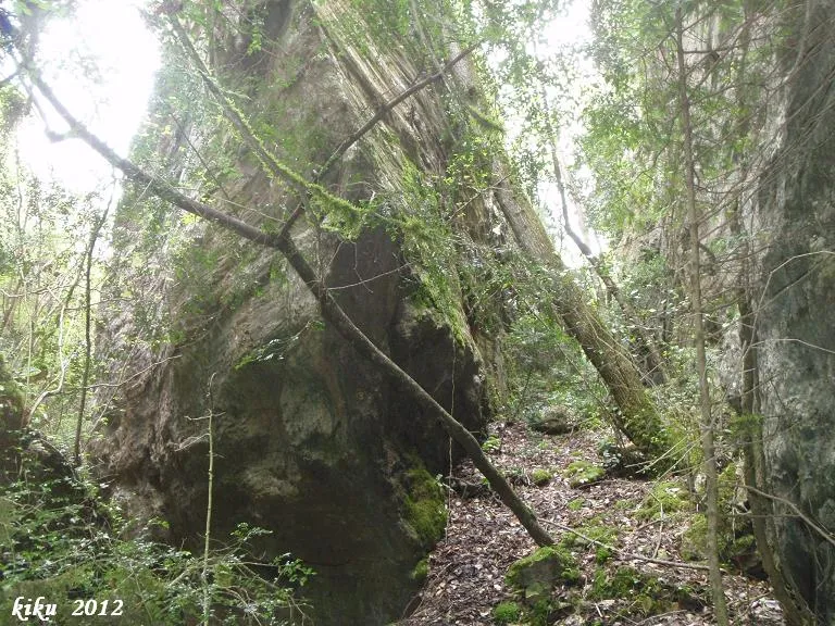 Fotografia de MOTLLATS DE LA PONA, AVENCOTS DELS (3 de 6)