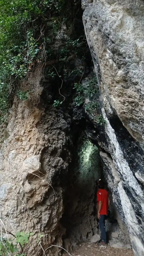 Photographie de PICAMILL DE BAIX, COVA DE (1 sur 2)
