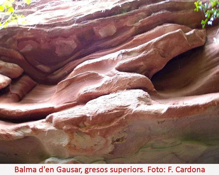Fotografia de GAUSAR, BALMA D'EN (3 de 3)