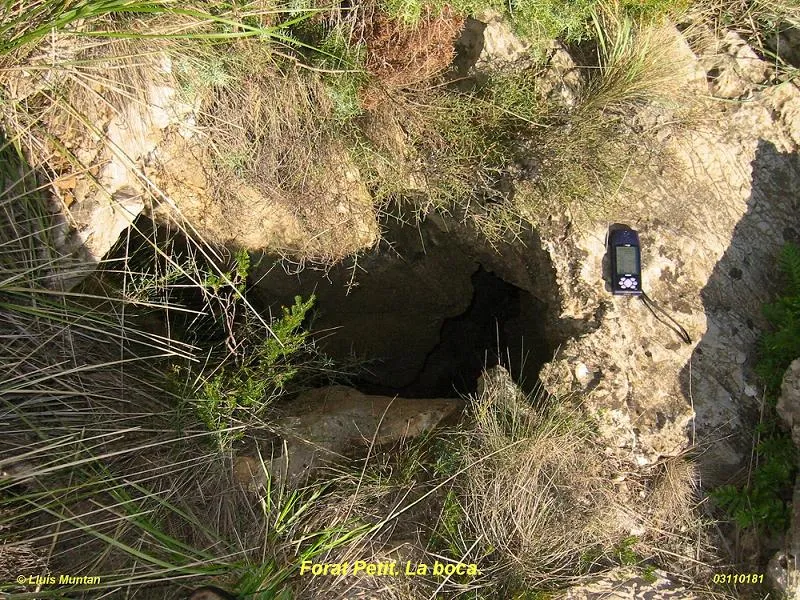 Photograph of PETIT, FORAT (1 of 2)