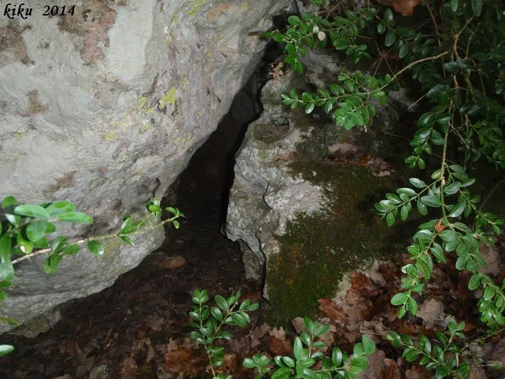 Fotografia de PG-2, COVA (5 de 5)