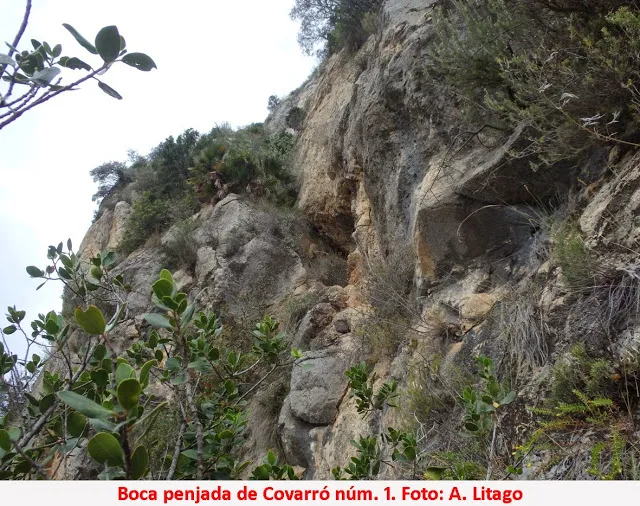 Fotografía de COVARRONS, ELS (1 de 9)