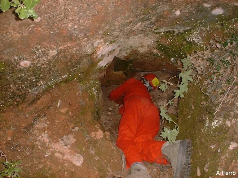 Fotografía de TOIXONS, COVA DELS (2 de 8)