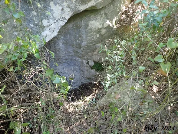 Fotografia de GOLFES DEL XALAU, COVA DE LES (1 de 3)