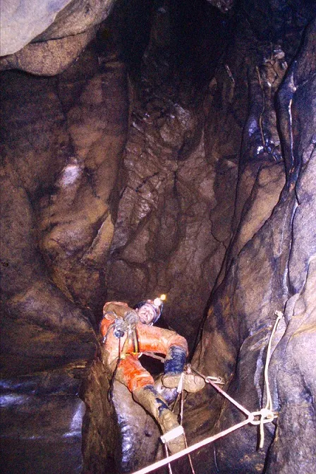 Photograph of TEC, BÒFIA DEL (2 of 7)