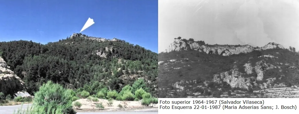 Photographie de ARBONÈS, COVA DE L' (1 sur 1)