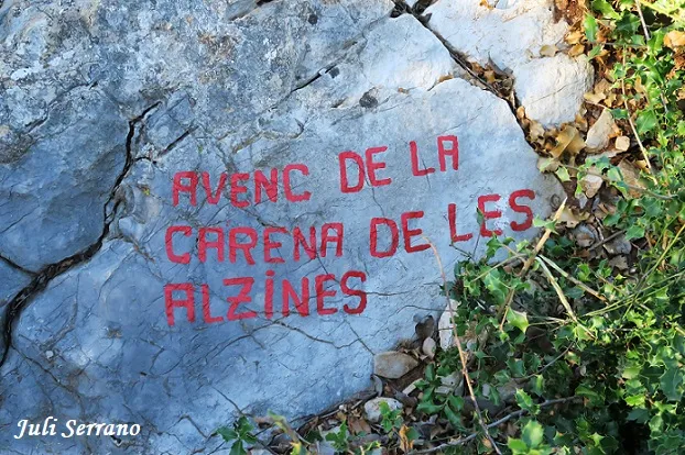 Fotografia de CARENA DE LES ALZINES, AVENC DE LA (6 de 7)