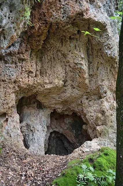 Fotografía de AVELLANER, COVA DE L' (1 de 2)