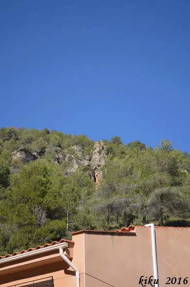Fotografia de AVI, COVA DE L' (1 de 1)