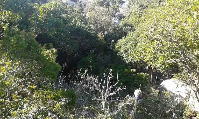 Photograph of BARDISSES, AVENC DE LES (1 of 3)