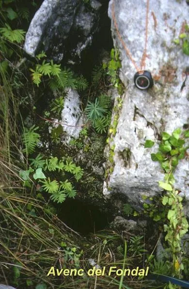 Fotografía de FONDAL, AVENC DEL (1 de 6)