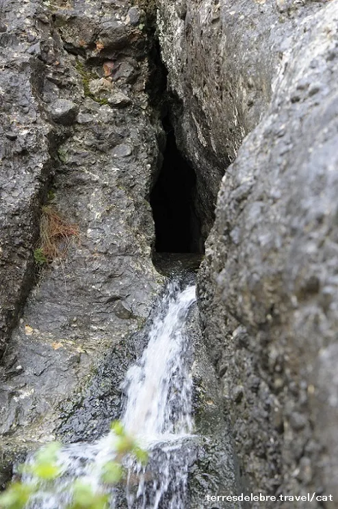 Photographie de DONZELLA, FORAT DE LA (1 sur 1)