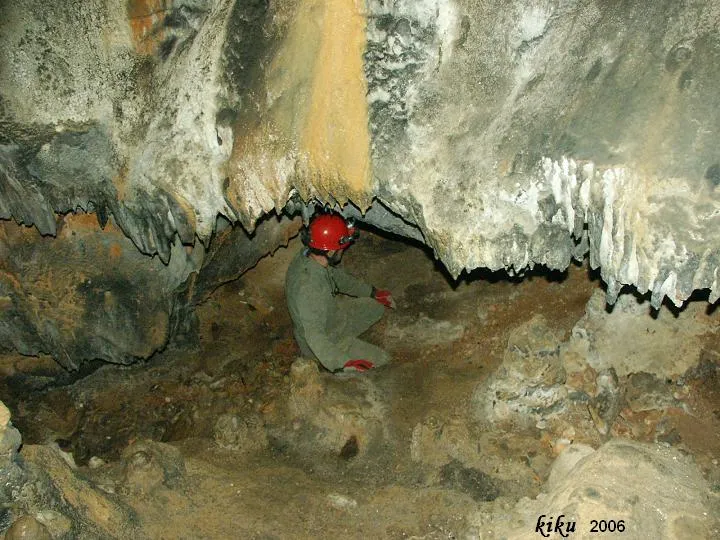 Photographie de NEGRE DE BÓIXOLS, FORAT (5 sur 6)